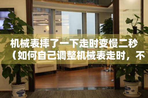 機(jī)械表摔了一下走時(shí)變慢二秒（如何自己調(diào)整機(jī)械表走時(shí)，不用去維修店）