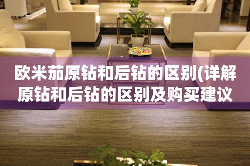 歐米茄原鉆和后鉆的區(qū)別(詳解原鉆和后鉆的區(qū)別及購(gòu)買建議)。