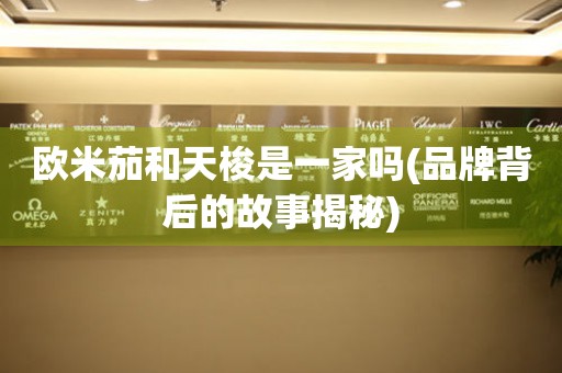 歐米茄和天梭是一家嗎(品牌背后的故事揭秘)