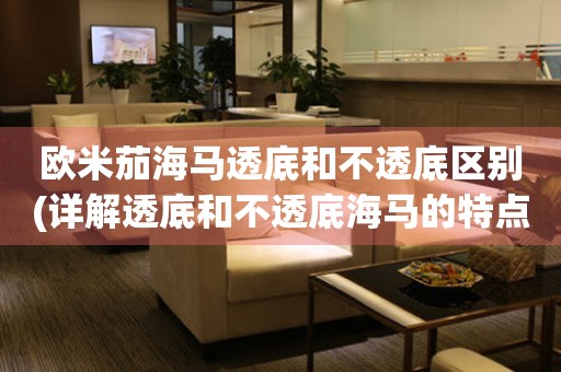 歐米茄海馬透底和不透底區(qū)別(詳解透底和不透底海馬的特點(diǎn)和優(yōu)缺點(diǎn))