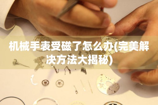機(jī)械手表受磁了怎么辦(完美解決方法大揭秘)