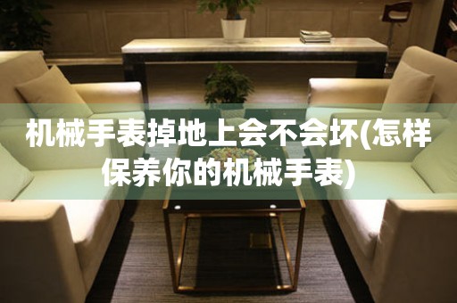 機(jī)械手表掉地上會(huì)不會(huì)壞(怎樣保養(yǎng)你的機(jī)械手表)
