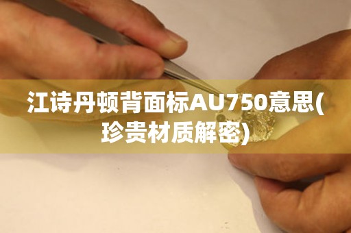 江詩丹頓背面標AU750意思(珍貴材質(zhì)解密)