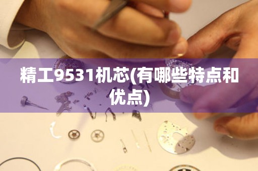 精工9531機(jī)芯(有哪些特點(diǎn)和優(yōu)點(diǎn))