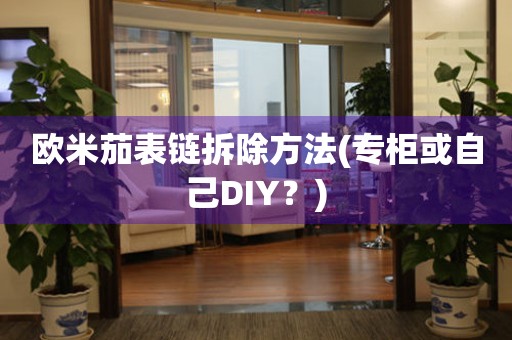 歐米茄表鏈拆除方法(專柜或自己DIY？)