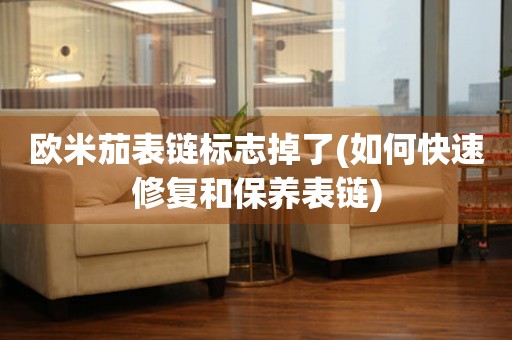 歐米茄表鏈標(biāo)志掉了(如何快速修復(fù)和保養(yǎng)表鏈)