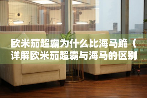 歐米茄超霸為什么比海馬跪（詳解歐米茄超霸與海馬的區(qū)別與優(yōu)劣）