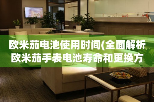 歐米茄電池使用時間(全面解析歐米茄手表電池壽命和更換方法)