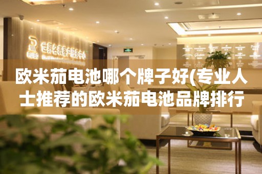 歐米茄電池哪個牌子好(專業(yè)人士推薦的歐米茄電池品牌排行榜)