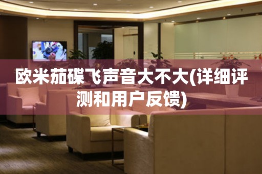歐米茄碟飛聲音大不大(詳細(xì)評測和用戶反饋)