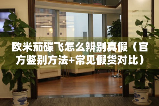 歐米茄碟飛怎么辨別真假（官方鑒別方法+常見假貨對比）