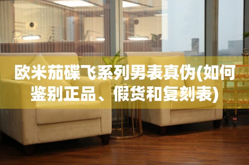 歐米茄碟飛系列男表真?zhèn)?如何鑒別正品、假貨和復(fù)刻表)