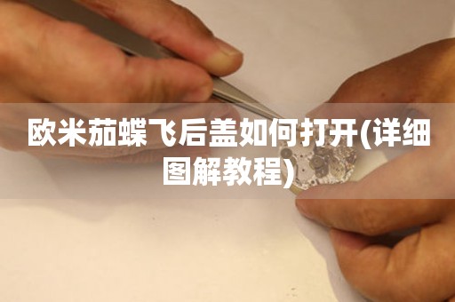 歐米茄蝶飛后蓋如何打開(詳細圖解教程)