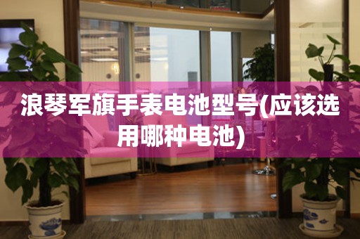 浪琴軍旗手表電池型號(應(yīng)該選用哪種電池)