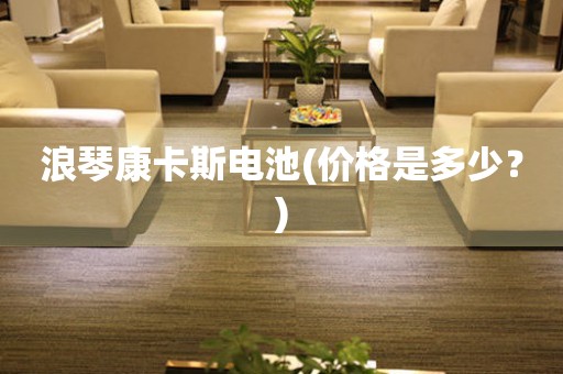 浪琴康卡斯電池(價(jià)格是多少？)