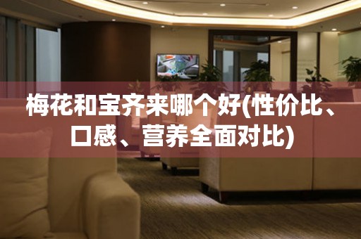 梅花和寶齊來哪個(gè)好(性價(jià)比、口感、營養(yǎng)全面對(duì)比)