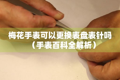 梅花手表可以更換表盤(pán)表針嗎（手表百科全解析）