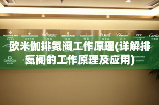 歐米伽排氦閥工作原理(詳解排氦閥的工作原理及應(yīng)用)