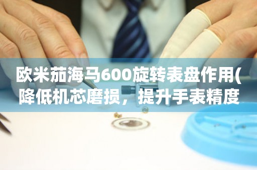 歐米茄海馬600旋轉(zhuǎn)表盤(pán)作用(降低機(jī)芯磨損，提升手表精度)