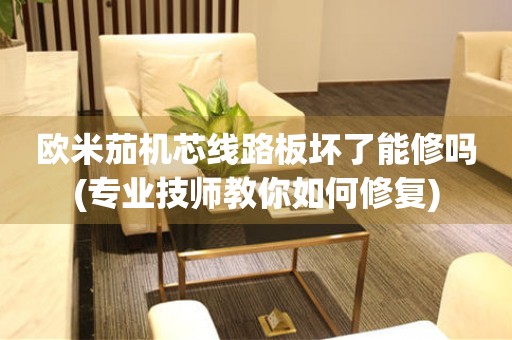 歐米茄機芯線路板壞了能修嗎(專業(yè)技師教你如何修復(fù))