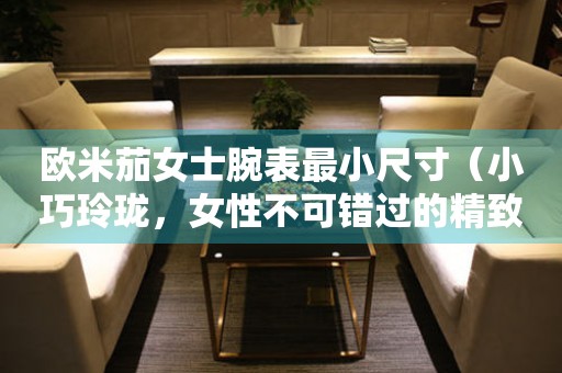 歐米茄女士腕表最小尺寸（小巧玲瓏，女性不可錯過的精致配飾）