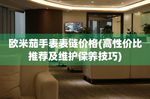 歐米茄手表表鏈價格(高性價比推薦及維護(hù)保養(yǎng)技巧)