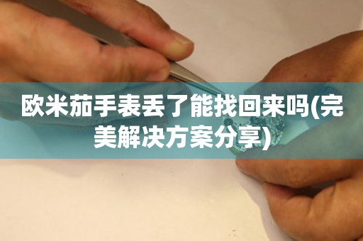歐米茄手表丟了能找回來嗎(完美解決方案分享)