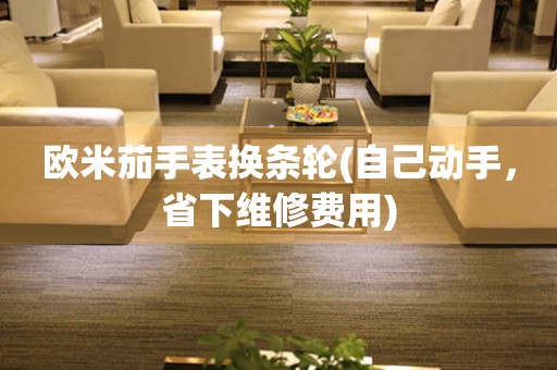 歐米茄手表換條輪(自己動手，省下維修費用)