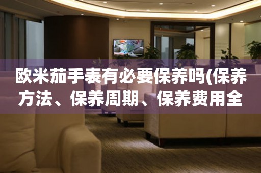 歐米茄手表有必要保養(yǎng)嗎(保養(yǎng)方法、保養(yǎng)周期、保養(yǎng)費用全解析)