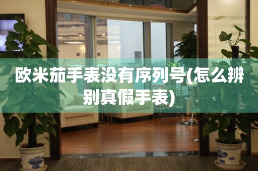 歐米茄手表沒有序列號(怎么辨別真假手表)