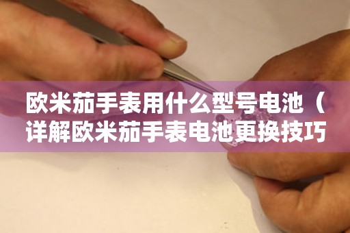 歐米茄手表用什么型號(hào)電池（詳解歐米茄手表電池更換技巧）