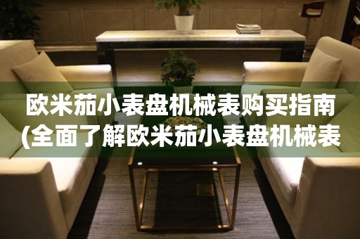 歐米茄小表盤機(jī)械表購買指南(全面了解歐米茄小表盤機(jī)械表)