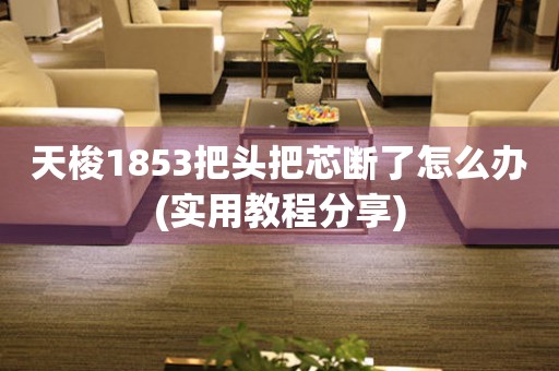 天梭1853把頭把芯斷了怎么辦(實(shí)用教程分享)