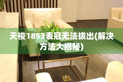 天梭1853表冠無法拔出(解決方法大揭秘)
