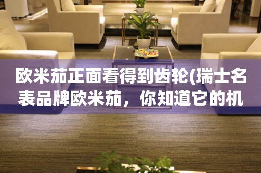 歐米茄正面看得到齒輪(瑞士名表品牌歐米茄，你知道它的機(jī)芯是怎么運(yùn)作的嗎？)