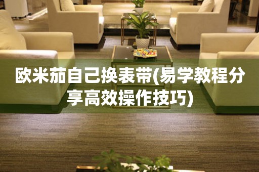 歐米茄自己換表帶(易學(xué)教程分享高效操作技巧)
