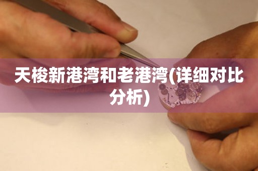 天梭新港灣和老港灣(詳細(xì)對(duì)比分析)