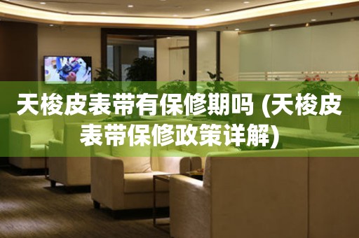 天梭皮表帶有保修期嗎 (天梭皮表帶保修政策詳解)