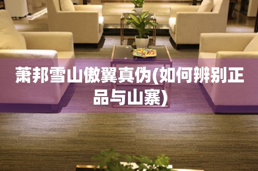 蕭邦雪山傲翼真?zhèn)?如何辨別正品與山寨)