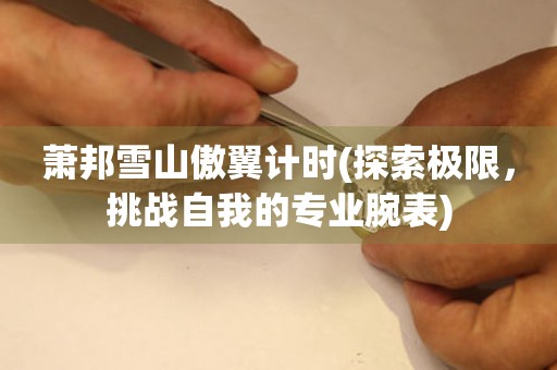 蕭邦雪山傲翼計(jì)時(shí)(探索極限，挑戰(zhàn)自我的專業(yè)腕表)