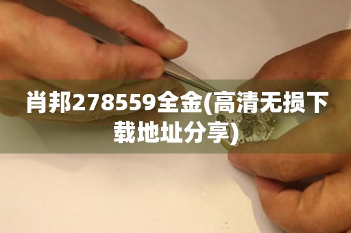 肖邦278559全金(高清無損下載地址分享)