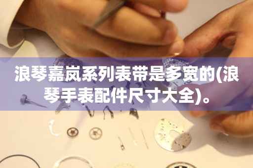 浪琴嘉嵐系列表帶是多寬的(浪琴手表配件尺寸大全)。
