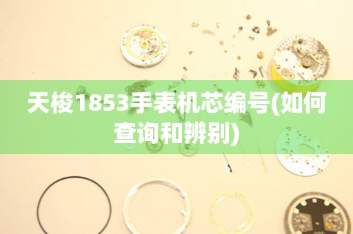 天梭1853手表機芯編號(如何查詢和辨別)