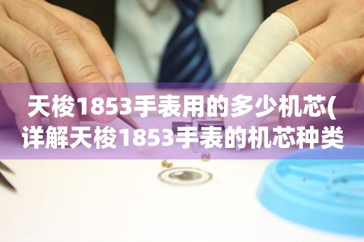 天梭1853手表用的多少機芯(詳解天梭1853手表的機芯種類)