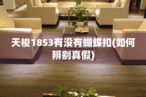 天梭1853有沒(méi)有蝴蝶扣(如何辨別真假)