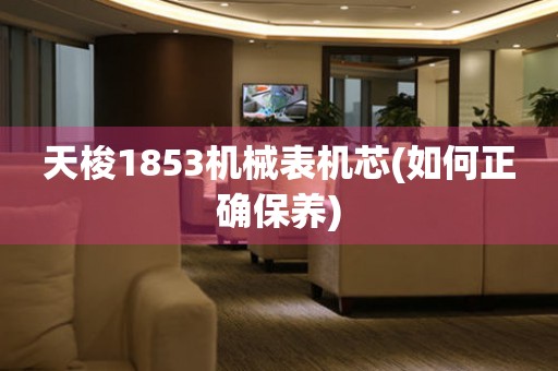 天梭1853機(jī)械表機(jī)芯(如何正確保養(yǎng))