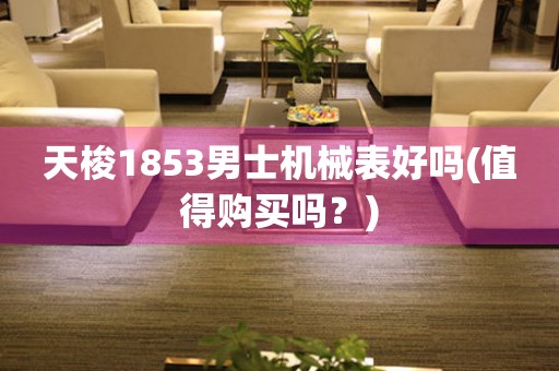 天梭1853男士機(jī)械表好嗎(值得購(gòu)買嗎？)