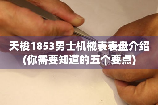 天梭1853男士機(jī)械表表盤介紹(你需要知道的五個(gè)要點(diǎn))