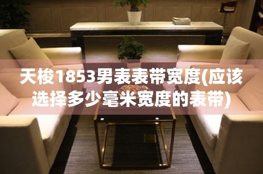天梭1853男表表帶寬度(應(yīng)該選擇多少毫米寬度的表帶)