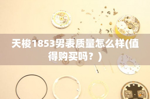 天梭1853男表質(zhì)量怎么樣(值得購買嗎？)